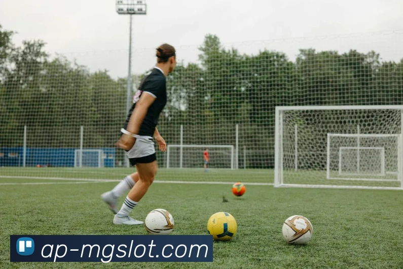 MG电子模拟器官网发展历程